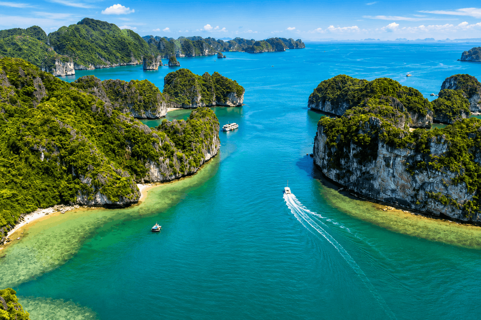 Vietnam (Pink Passport)
