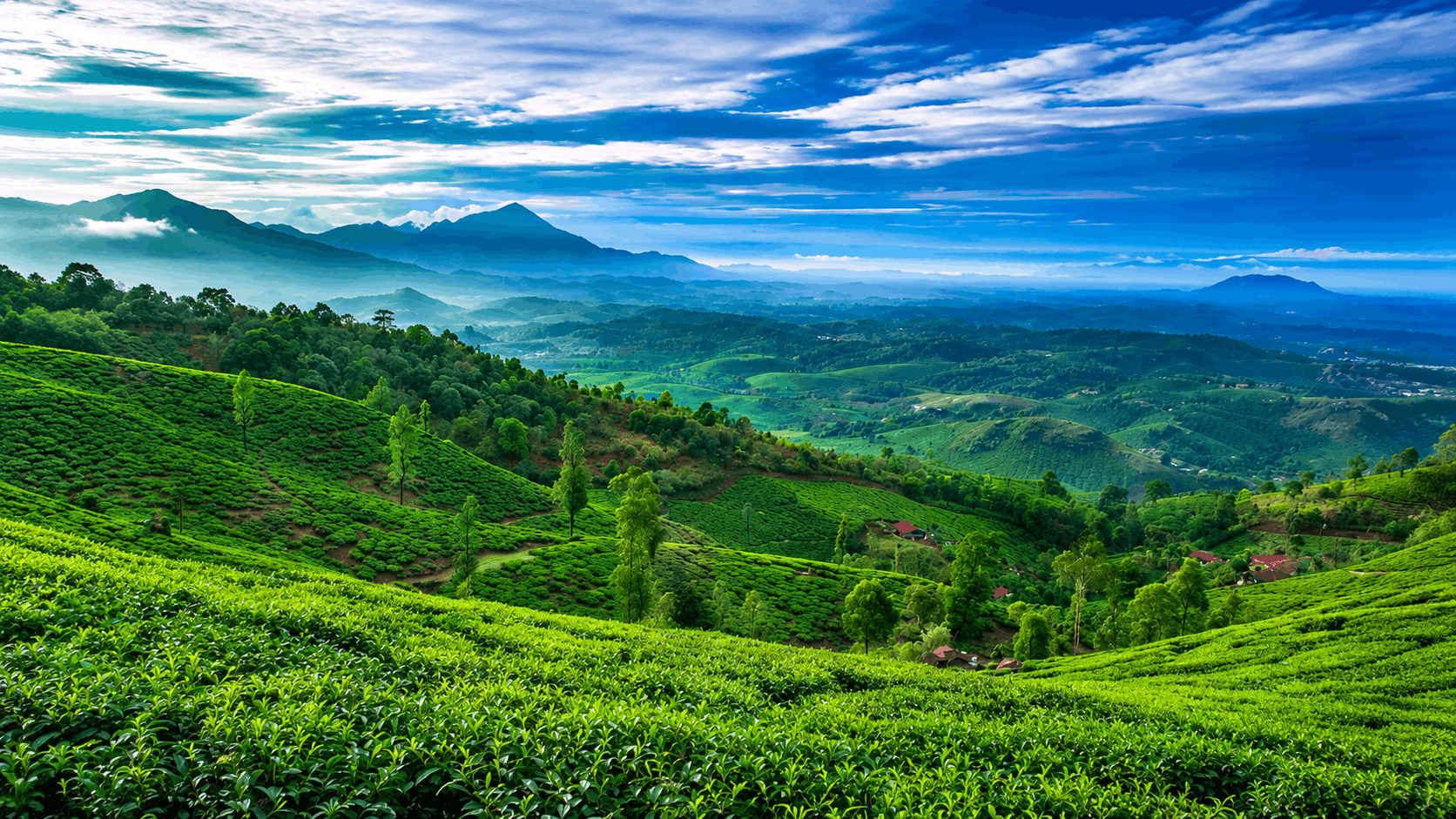 Wayanad Tour Package from Chennai (Mom and Kids)