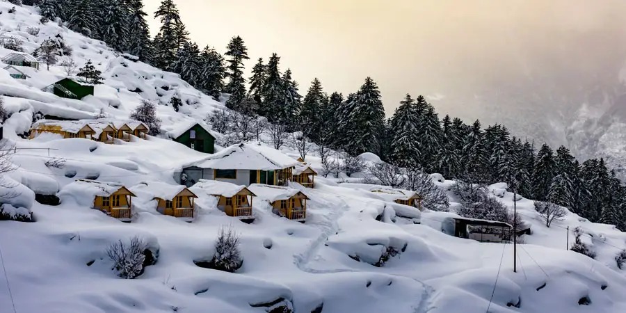 Shimla & Manali