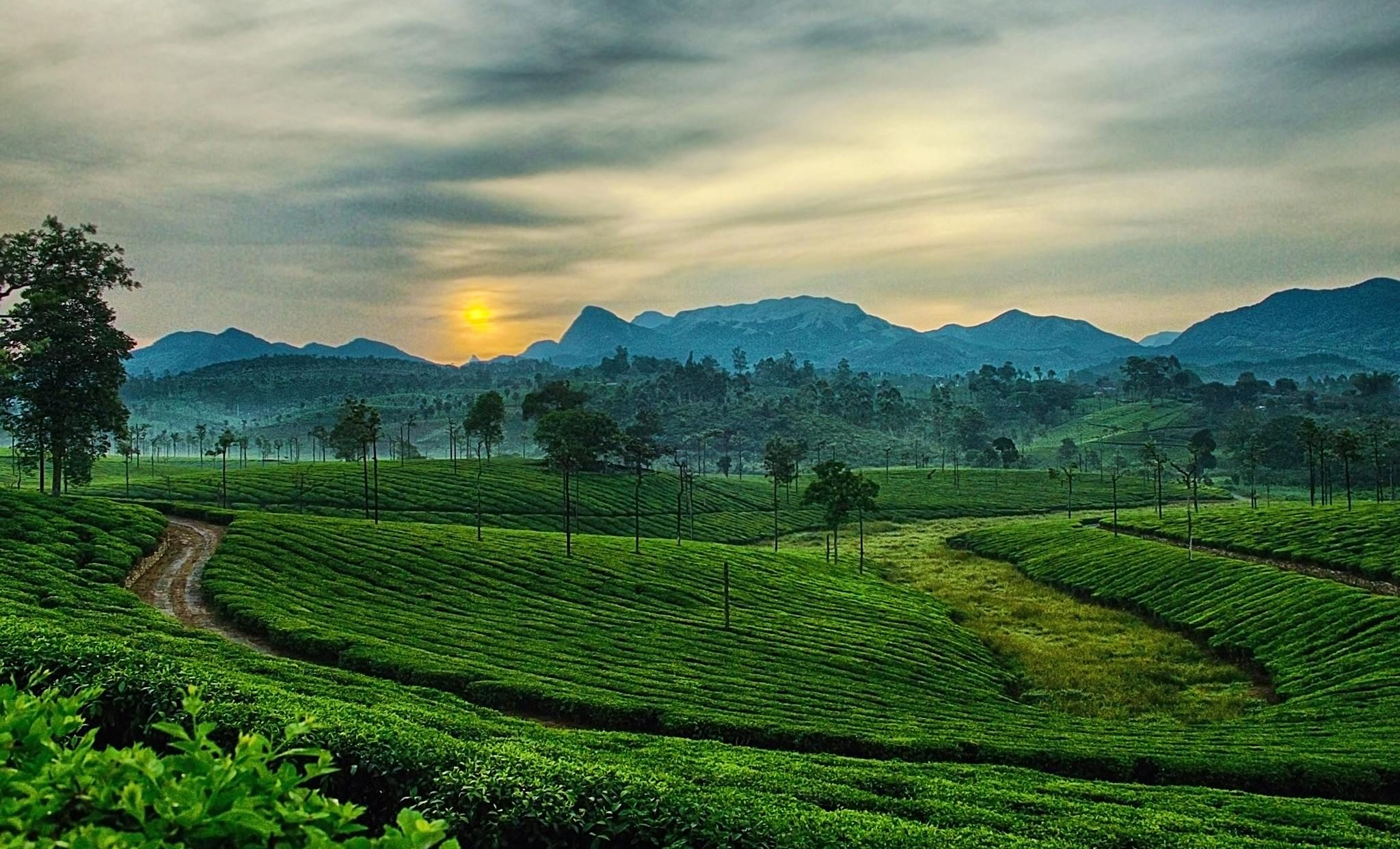 Ooty
