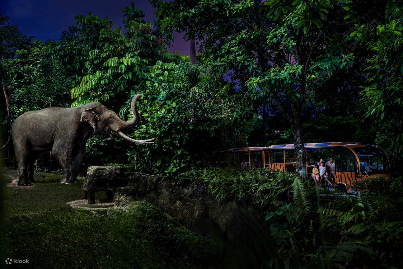 Arrival Singapore – Night Safari