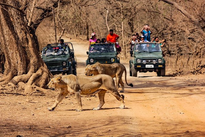 Somnath to sasan gir - Somnath to Sasan gir